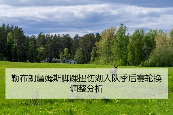 lei-bu-lang-zhan-mu-si-jiao-huai-niu-shang-hu-ren-dui-ji-hou-sai-lun-huan-tiao-zheng-fen-xi-2-555.jpg